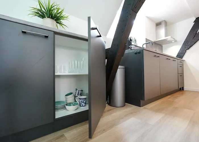 Romantic 35m2 Center Semesterbostad Delft